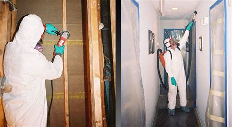 Pure Service Pro Is A Leader In Toxic Mold Mold And Indoor Air Quality