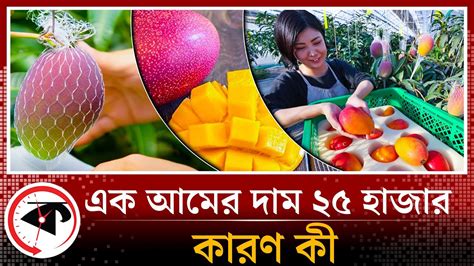 বিশ্বের সবচেয়ে দামি আম একটির দাম ২৫ হাজার টাকা Red Mango Miyazaki Mango Kalbela Youtube