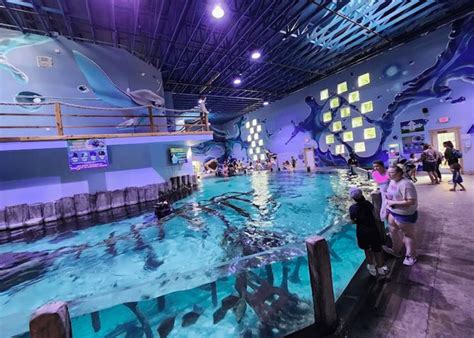 Go Wild At The Houston Interactive Aquarium & Animal Preserve - Secret ...