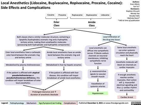 Local Anesthetics Lidocaine Bupivacaine Ropivacaine Procaine