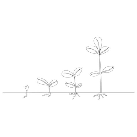 Premium Vector One Line Drawing Plant Growth Processing Outline