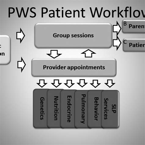 Example Multidisciplinary Clinic Workflow A Includes Intake Sheets