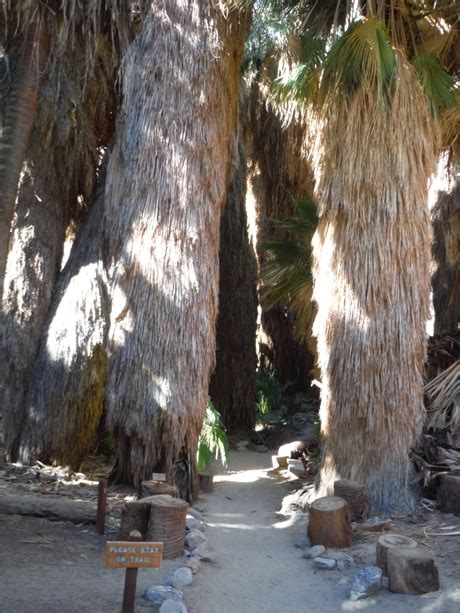 Thousand Palms Oasis Preserve - Palm Springs