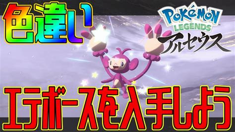 【ポケモンアルセウス】色違いエテボースを入手しよう【pokémon Legends アルセウス】 Youtube