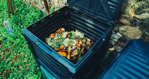 Fall Composting 10 Things To Do In Autumn