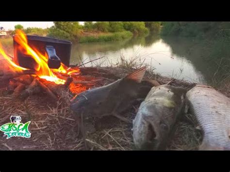 Incre Ble La Pesca De Tarariras Grandes Moncholo Bogas En Este Arroyo