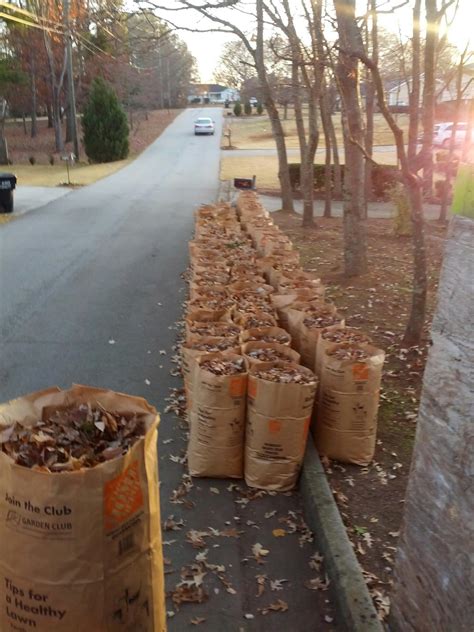 Yard Debris Removal in Smyrna - Advance Junk Removal