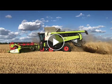 Claas Lexion With Convio Header In Wheat Harvest Eastern Germany