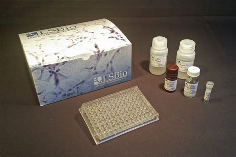 Human Human Igg Quant Elisa Kit Sandwich Lsbio