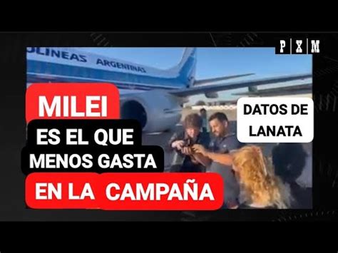 Milei Es El Que Menos Gasta En La Campa A Para Las Paso Youtube