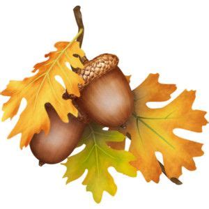 oak leaves and acorns clipart 10 free Cliparts | Download images on ...