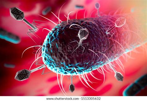 Bacteriophages Infecting Bacterium 3d Illustration Stock Illustration