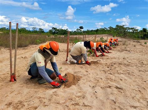 Refuerzan Lucha Contra La Minería Ilegal En áreas Naturales Protegidas