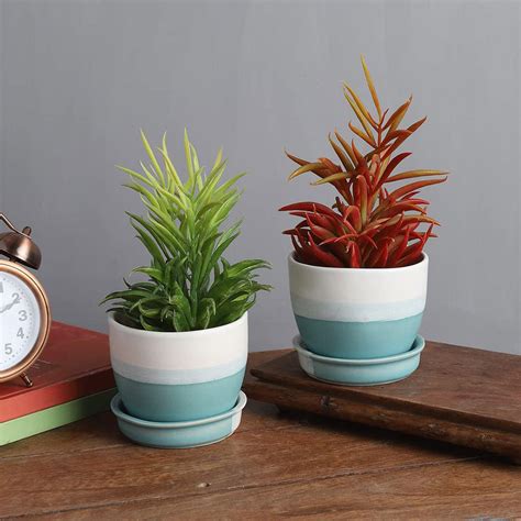 indoor plant pots - WallMantra