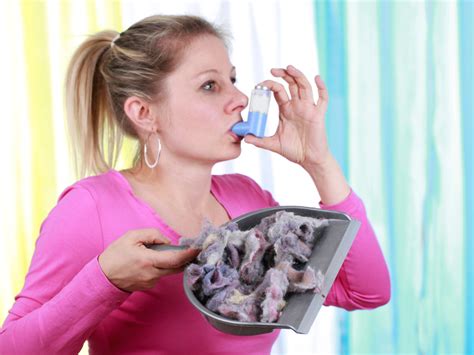 Does A Dehumidifier Help With Allergies Quick Allergy Relief Yes I