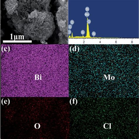 Sem Image A And Edx Spectra B Of Biocl Bi 2 Moo 6 Bi Elemental Download Scientific