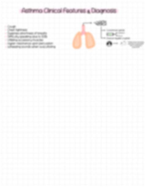 Solution Asthma Pathophysiology Studypool