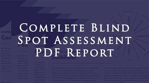 32 Page Blind Spot Assessment Report