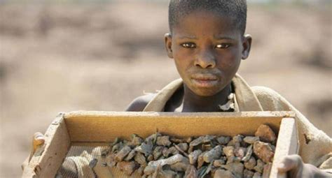 Elimination du travail des enfants L OIT et l UA lancent l année