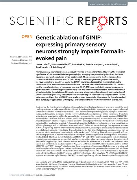 Pdf Genetic Ablation Of Ginip Expressing Primary Sensory Neurons