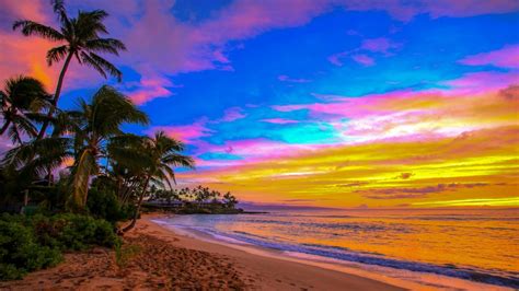 Napili Kai Palm (Maui Beach Sunset) - Hawaii Photo Print - Maui Hands