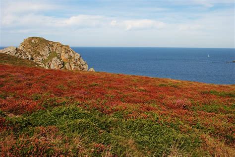 La Réserve Du Cap Sizun Près Daudierne Dans Le Finistère