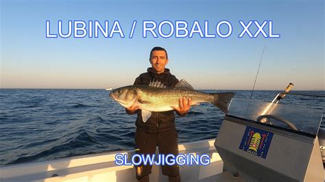 Como Pesco Lubinas Robalos Xxl A Slow Jigging En Galicia Youtube