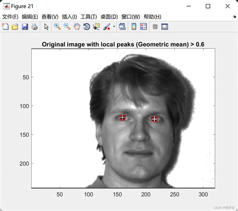 【图像处理】基于形状提取和模式匹配组合的面部特征点提取方法（matlab代码实现）特征提取matlab Csdn博客