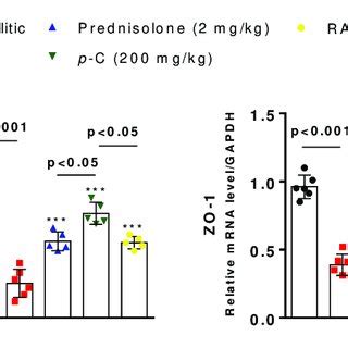 Effect of oral administration of p C and RA on interleukin IL 1β