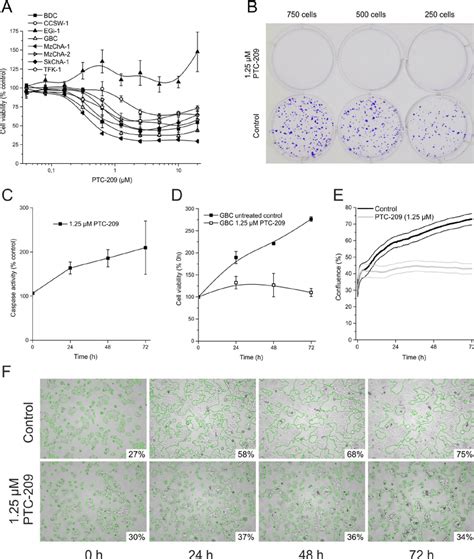 Cytotoxic Effects Of Ptc 209 On Btc Cells A Dose Dependent Effect Of