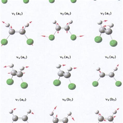 Schematic Representation Of The Twelve Vibrational Normal Modes Of The Download Scientific