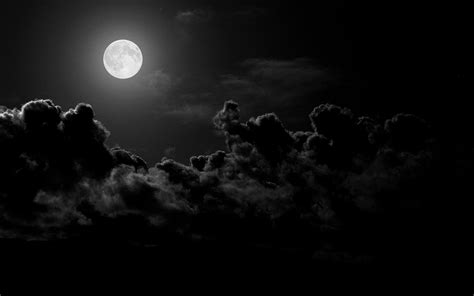 Full Moon Illustration Clouds Moonlight Hd Wallpaper Wallpaper Flare