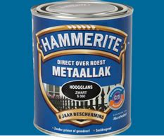 Hammerite Metaallak Hoogglans Standblauw Kopen Sale Tot De