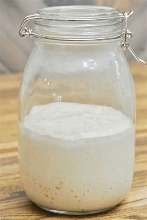 How To Feed Care For And Maintain Your Sourdough Starter Recipe