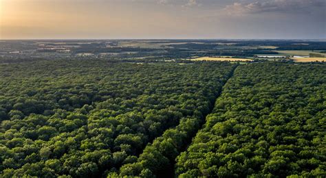 Cultivons nos forêts cultivons notre avenir une exposition pour