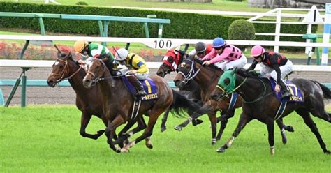 【2024 皐月賞（g1）】日刊馬番コンピ指数分析予想篇｜haya