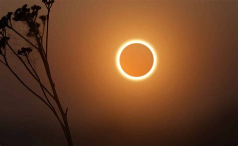 Eclipse Solar Anular Acontece Neste S Bado Veja As Condi Es