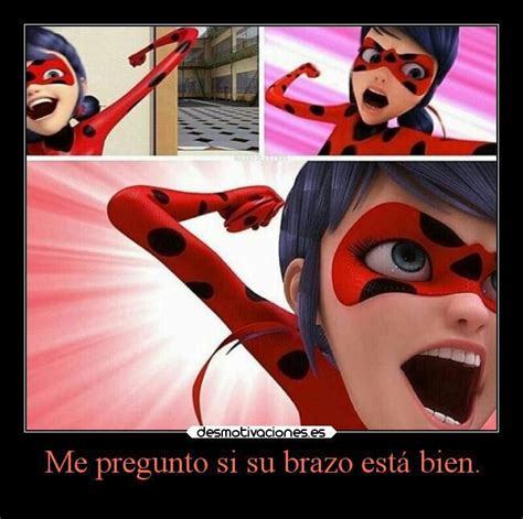 Más Memes De Ladybug •miraculous Ladybug Español• Amino