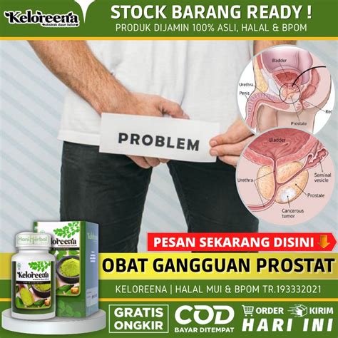 Jual Obat Prostat Alami Yang 100 ASLI Prostat Bengkak Radang Prostat