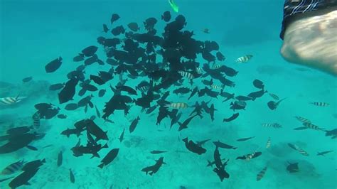 Snorkeling In Hurghada Egypt Orange Bay Youtube