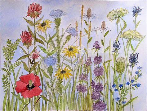 LAURIE ROHNER STUDIO Wildflower In Garden Shows Flowers Dancing Under