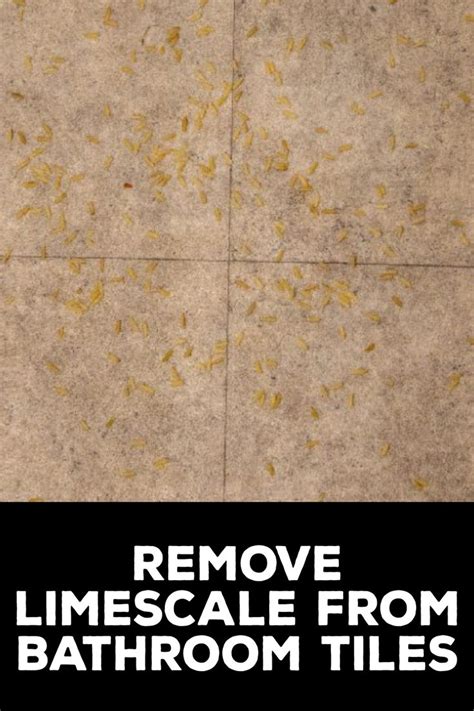 How To Remove Limescale From Bathroom Tiles Shower Tile Cleaner Shower