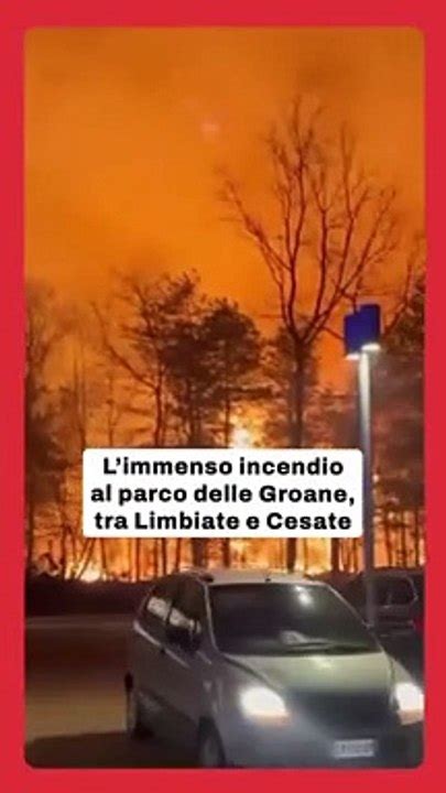 I Video Dell Incendio Al Parco Delle Groane Tra Cesate E Limbiate