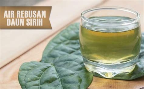 Catat Ini 5 Manfaat Minum Air Rebusan Daun Sirih Bagi Kesehatan