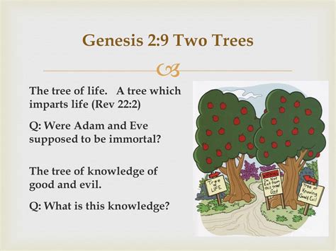 Genesis Creation Fall And Judgment Ppt Download