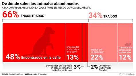 La adopción de animales aumenta por primera vez desde 2018 el 51 de