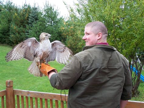 Nathan Keslers Falconry Blog