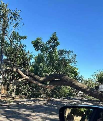 Rvore Cai Em Fia O E Deixa Moradores Sem Energia No Carand Bosque