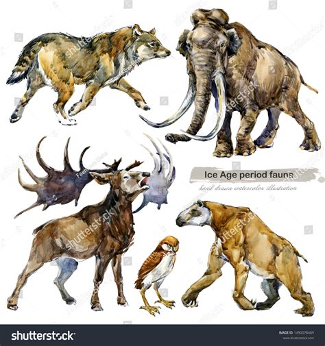 Real Ice Age Animals