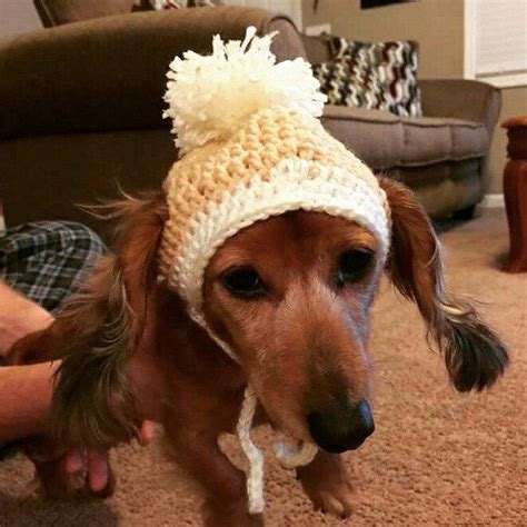 I Made This Dog Hat A Long Time Ago But It Is So Cute That I Have To